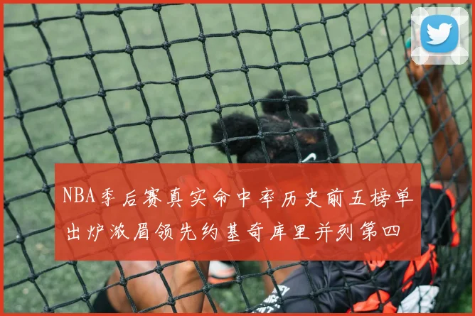 NBA季后赛真实命中率历史前五榜单出炉浓眉领先约基奇库里并列第四